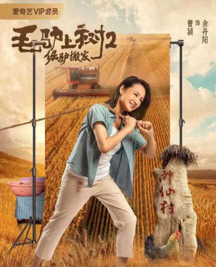 天天操综合