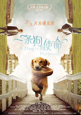 联合早报网首页南略网