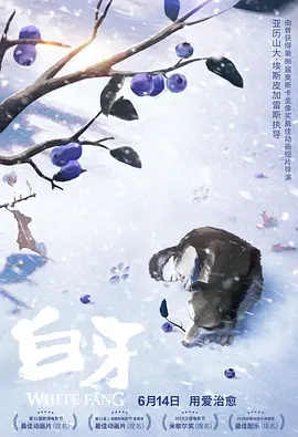97碰碰视频