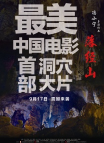 我的朋友的妻子