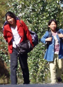 成人一级