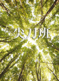 明星造梦工厂
