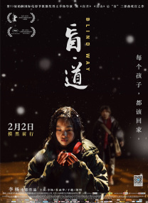 国产性videostv另类极品