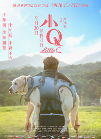 成人欧美视频在线看免费