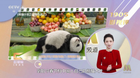 国产精品久久久久影视青草